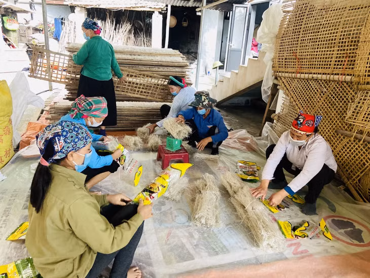 Không ít cơ sở vẫn bố trí nhà xưởng, nơi sơ chế đóng gói sản phẩm chung với nhau, dẫn đến nguy cơ mất an toàn vệ sinh thực phẩm. (Ảnh: Đóng gói, sản xuất miến dong tại HTX Phát triển Đình Trung, xã Húc Động, huyện Bình Liêu)