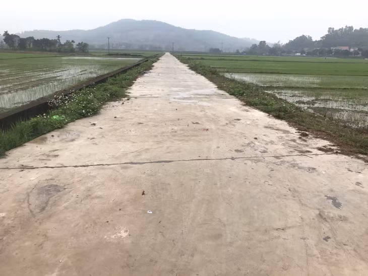 Đường nội đồng xã Nguyễn Huệ được đầu tư rộng rãi.