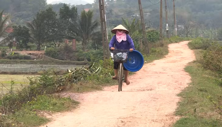Mặt đê tại xã Nguyễn Huệ (TX Đông Triều) nhỏ, hẹp, gập ghềnh, gây khó khăn cho việc đi lại của nhân dân.