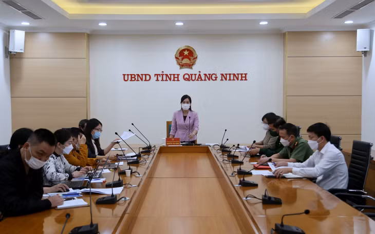 Phó Chủ tịch UBND tỉnh Nguyễn Thị Hạnh chủ trì và kết luận cuộc họp.