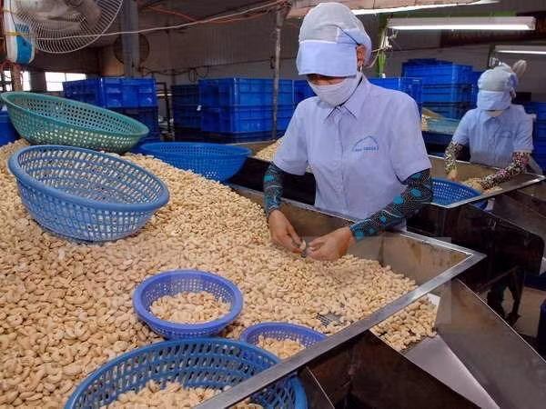 Bộ Công Thương hỗ trợ "giải cứu" 36 container điều bị mất kiểm soát ảnh 1 Bộ Công Thương hỗ trợ "giải cứu" 36 container điều bị mất kiểm soát ảnh 1