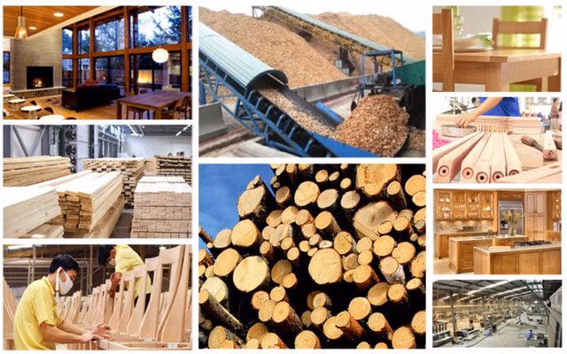 Đề án đặt mục tiêu giá trị xuất khẩu gỗ và lâm sản đạt 20 tỷ USD vào năm 2025