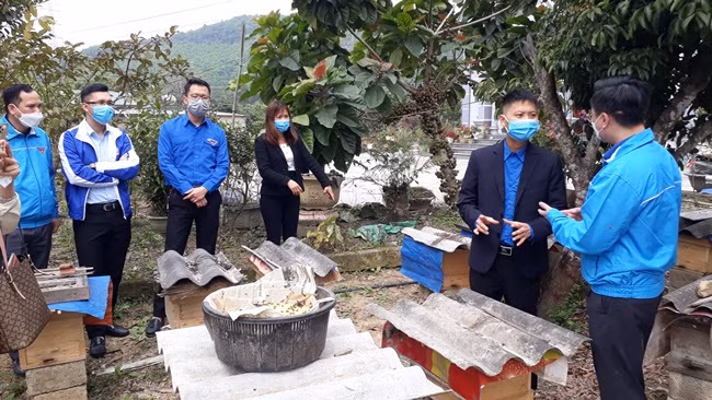 Sản phẩm mật ong của HTX