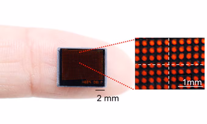 Cảm biến hình ảnh của camera tốc độ siêu cao mô phỏng mắt côn trùng. Ảnh: KAIST