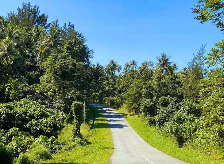 Đến công viên Quốc gia Kinabalu, du khách sẽ có dịp ngắm san hô, khám phá những loài động, thực vật quý hiếm và đi trên “con đường xuyên rừng” độc đáo. Ảnh: Nguyễn Quốc Thái
