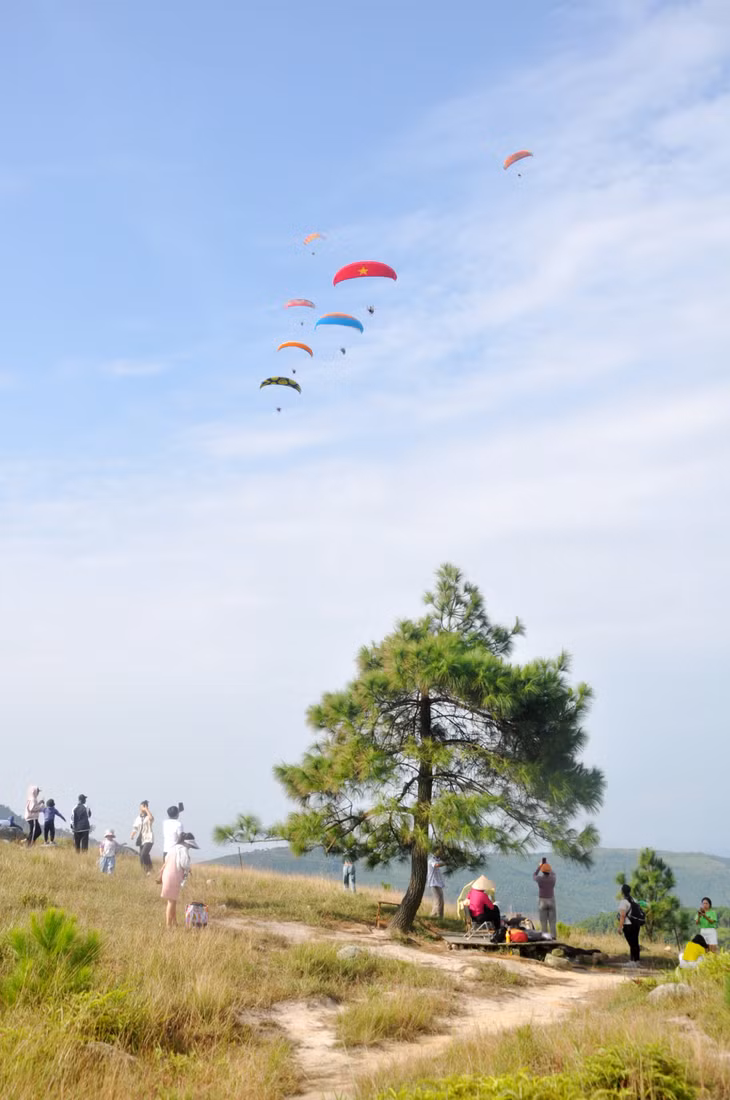 Ở góc nào đồi Phượng Hoàng cũng có những khung cảnh thơ mộng.