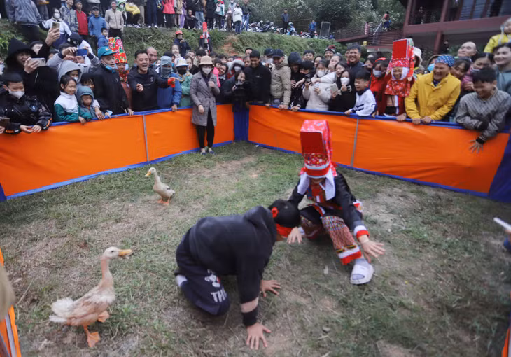 bịt mắt bắt vịt...