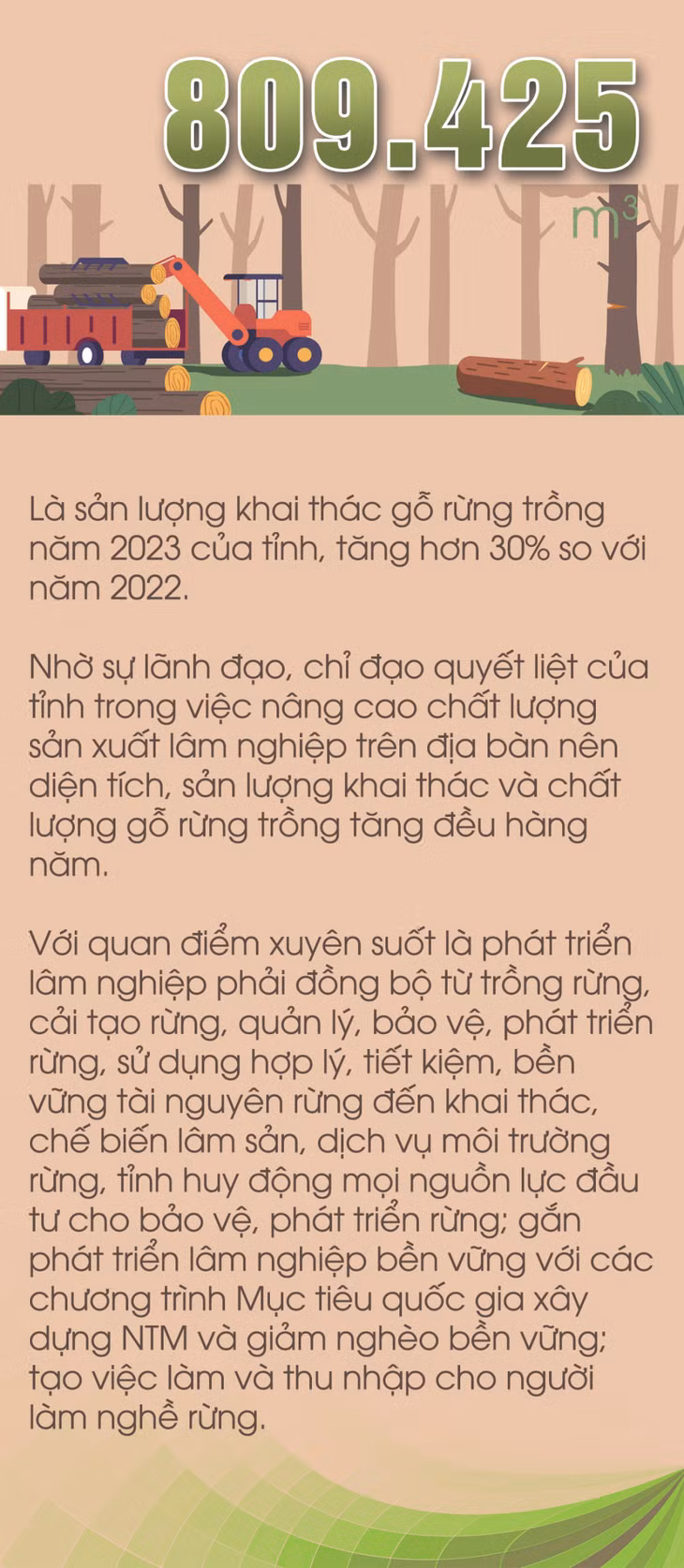 809.425 m3 - là sản lượng khai thác gỗ rừng trồng năm 2023 của tỉnh ảnh 1