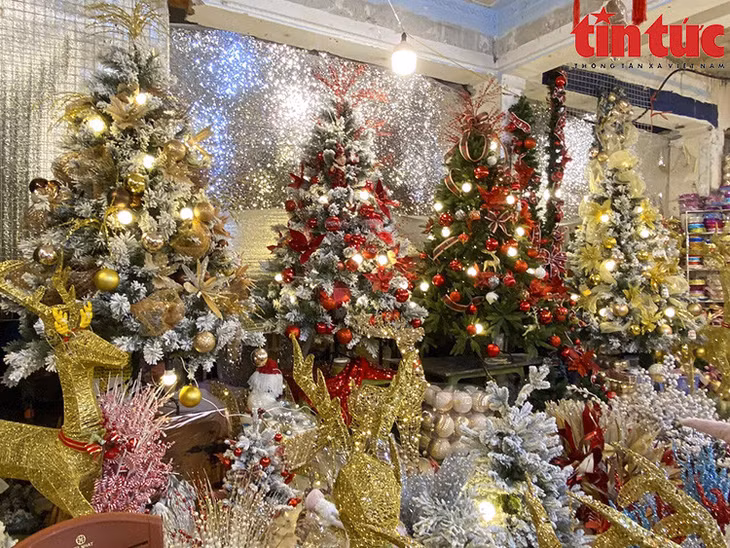 Cây thông luôn là mặt hàng bán chạy và được nhiều khách hàng tham khảo giá cả.