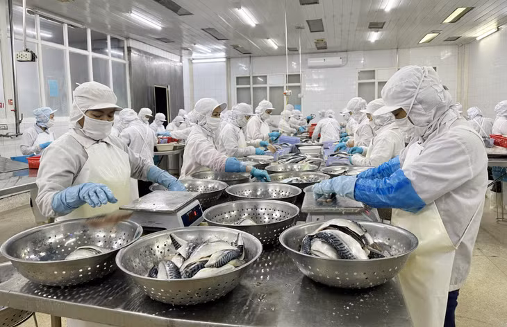 Công nhân Công ty CP Xuất nhập khẩu thủy sản Quảng Ninh sơ chế sản phẩm.