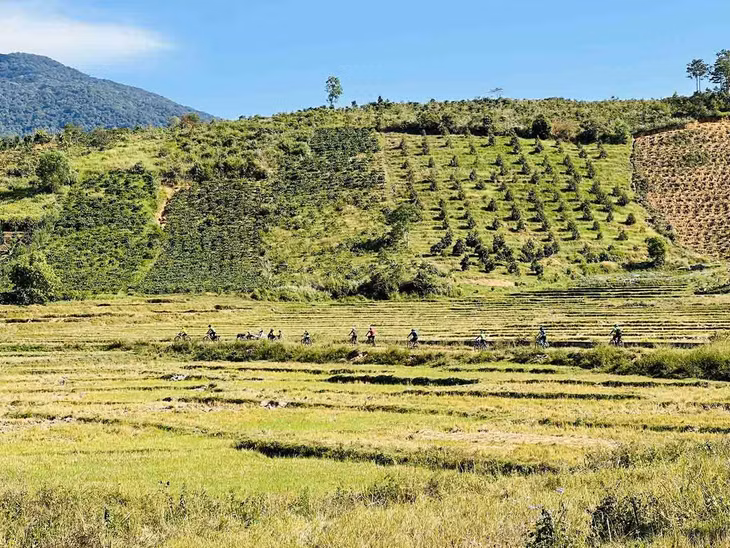 Những cánh đồng cỏ xanh ven cung đường đạp xe. Ảnh: Cào Cào Adventures