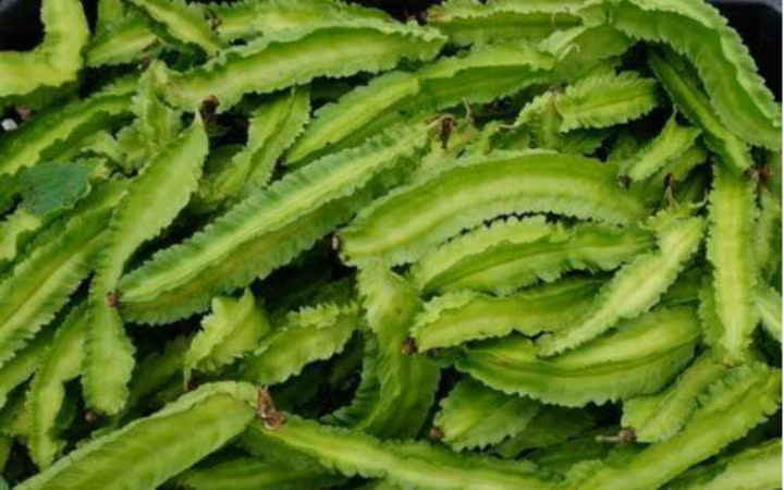 Đậu rồng hay còn gọi là đậu vuông, đậu khế. (Nguồn: Sohu)
