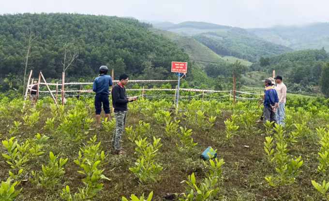 Chính quyền đóng cọc giăng thép gai và biển cảnh báo nguy hiểm. Ảnh: Đại Hiệp