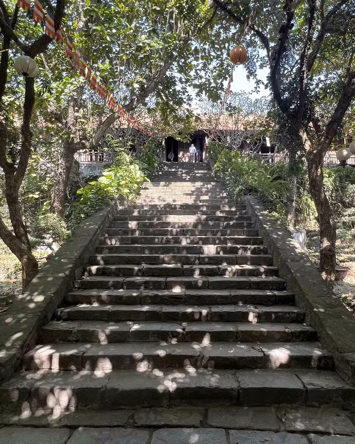 Không gian rợp bóng cây tại chùa Keo. Ảnh: Cào Cào Adventures