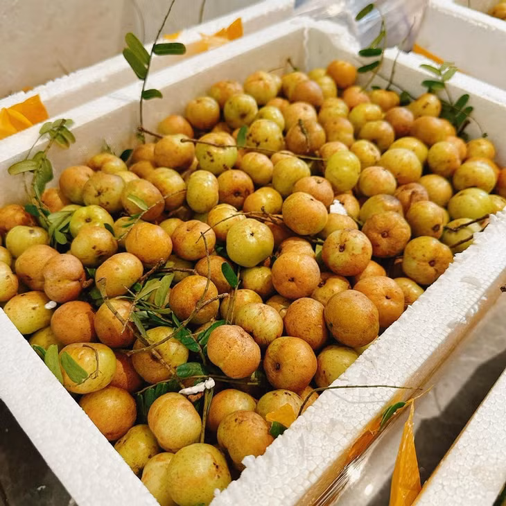 Nhiều người mê mẩn quả mắc kham vì hương vị vô cùng đặc biệt khi ăn (Ảnh: NVCC)