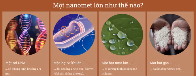 So sánh một nanomet với các vật thể. Nguồn: Nikkei Asia