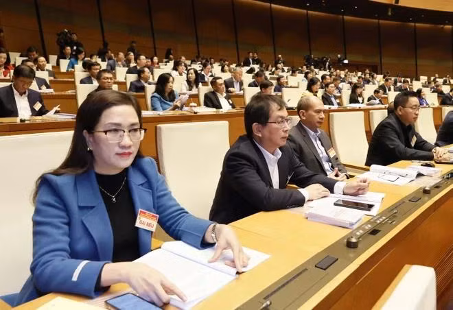 Đại biểu dự Hội nghị. (Ảnh: Thống Nhất/TTXVN)