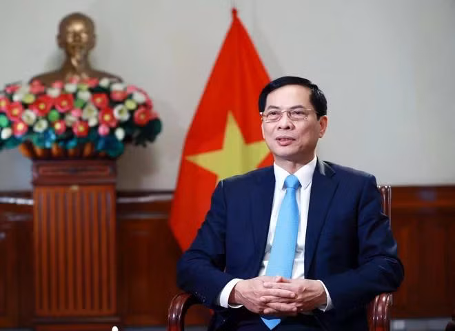 Bộ trưởng Ngoại giao Bùi Thanh Sơn (Nguồn: TTXVN)