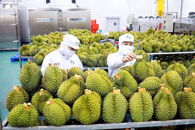 Bức tranh kinh tế Việt Nam năm 2023: Nhiều gam màu sáng - Ảnh 1.