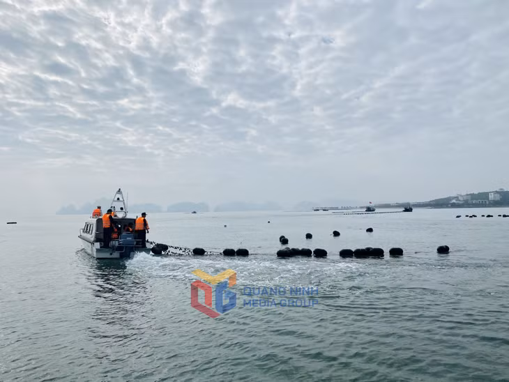 Các lực lượng chức năng tiến hành tháo dỡ công trình NTTS trái phép tại khu vực giáp ranh giữa phường Tuần Châu và phường Hùng Thắng.