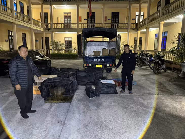 Hình ảnh các đối tượng vận chuyển động vật hoang dã bị bắt giữ.