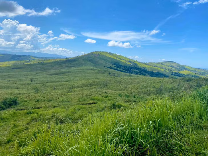 Ảnh: Nguyễn Quốc Thái