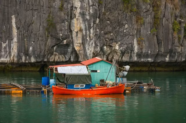 Cuộc sống ngư dân ở Vịnh Lan Hạ. Ảnh: ISTOCK