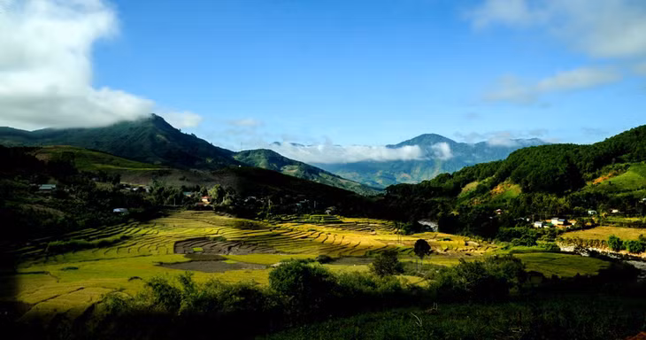 Nắng sớm trên cánh đồng Long Tum. Ảnh: Huy Đằng