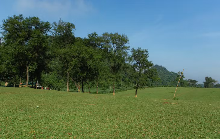 Nếu có dịp ghé thăm Bãi Bùi, du khách cần đặc biệt chú ý giữ gìn cảnh quan và môi trường xung quanh, không được xả rác bừa bãi hay leo trèo, làm tổn hại những cây tlau cổ thụ.