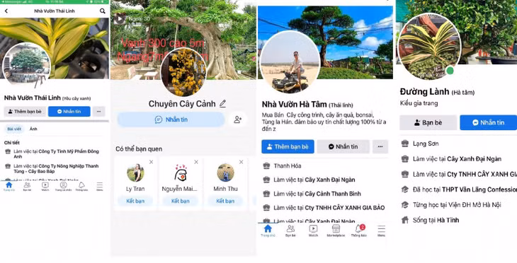 Một số facebook giả các nhà vườn bán cây cảnh Lê Văn Vĩnh lập ra để lừa đảo.