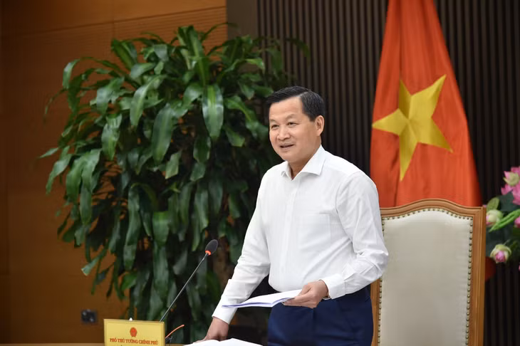Phó Thủ tướng Lê Minh Khái phát biểu. Ảnh VGP/Quang Thương