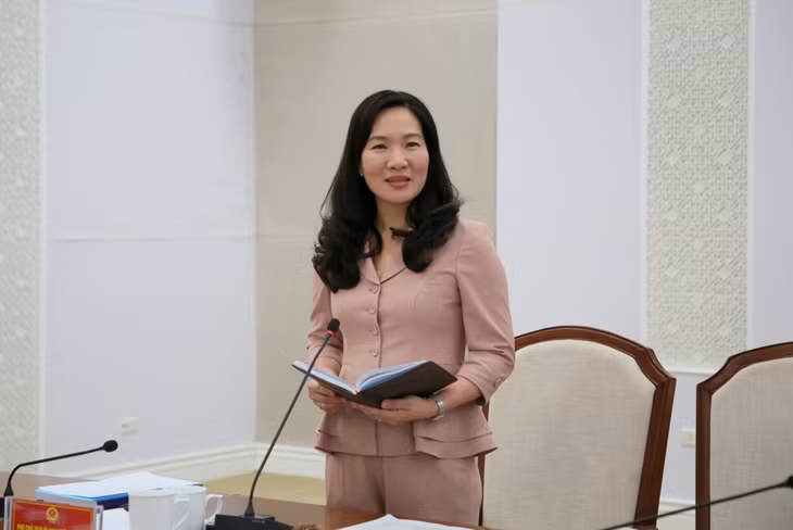 Đồng chí Phó Chủ tịch UBND tỉnh phát biểu tại buổi làm việc.