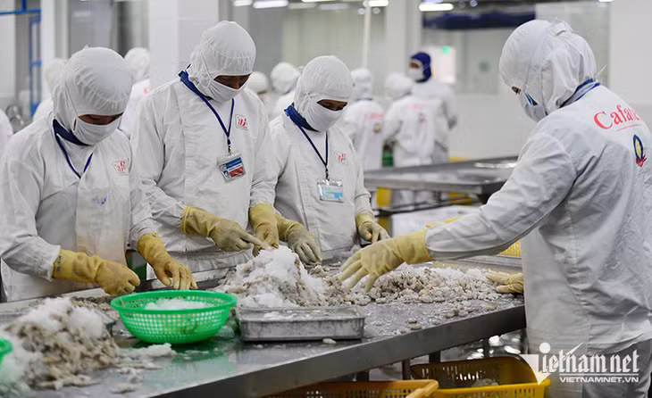 Việc tiếp cận các gói tín dụng gặp khó khăn và lãi suất cao đang bào mòn sức chống chịu của doanh nghiệp. Ảnh minh họa: Hoàng Hà.