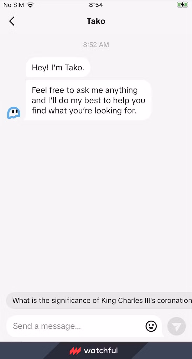 Giao diện chatbot Tako. (Ảnh: Watchful.ai)