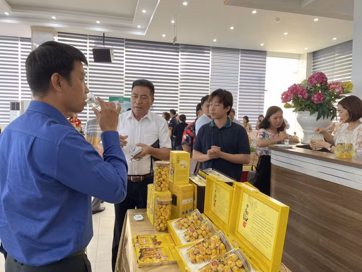Sản phẩm Trà hoa vàng Quy Hoa (huyện Hải Hà) được giới thiệu tới người tiêu dùng.
