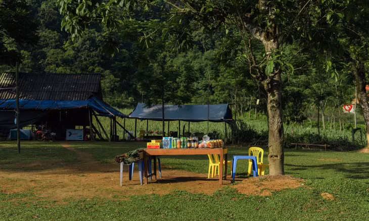 Thảo nguyên xanh Bãi Bùi ảnh 7