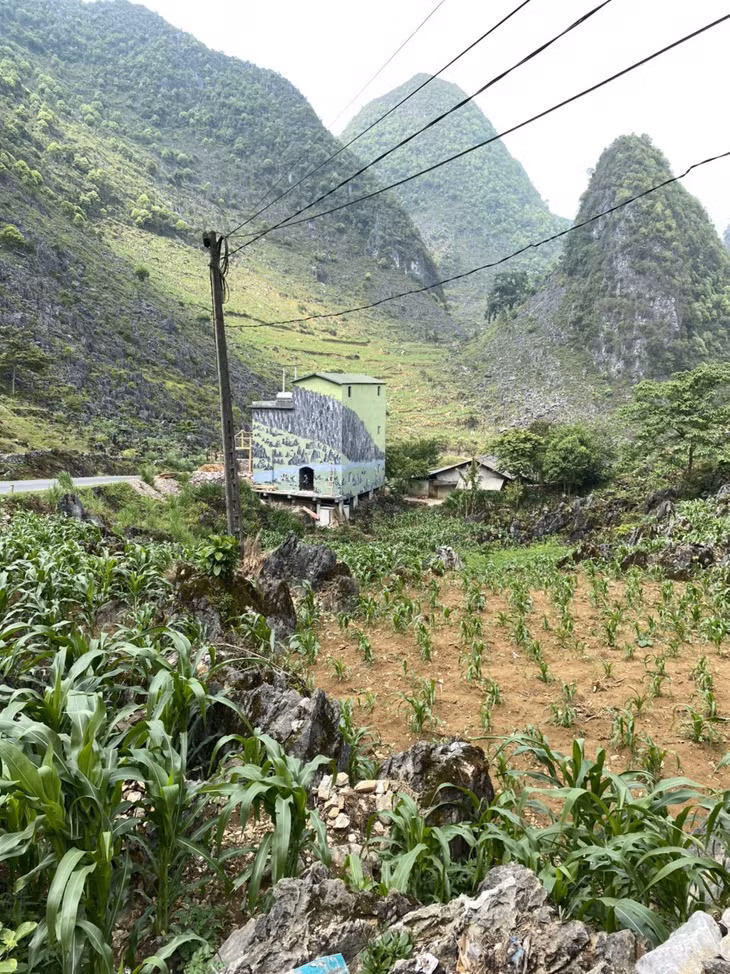 Hình ảnh về một số ngôi nhà "tàng hình" giữa núi rừng Hà Giang đang gây "bão" mạng vài ngày qua.