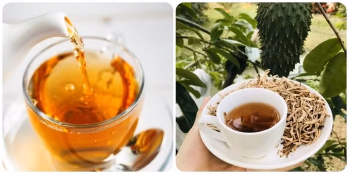 Uống trà mãng cầu có tốt không là băn khoăn của nhiều người.