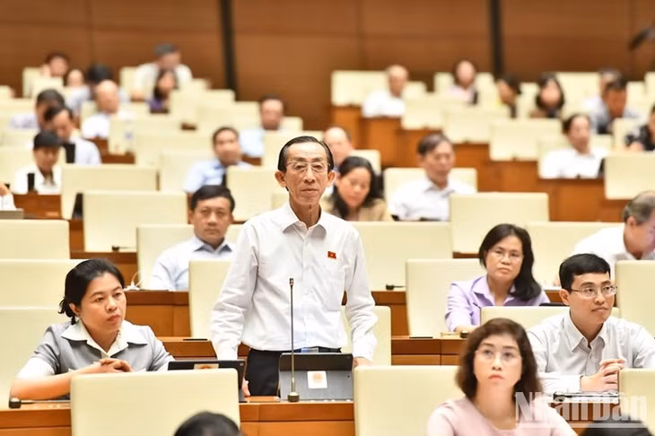 Đại biểu Trần Hoàng Ngân - Đoàn đại biểu Quốc hội TP Hồ Chí Minh phát biểu. (Ảnh: ĐĂNG KHOA)