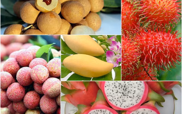 Thúc đẩy tiêu thụ trái cây vào mùa thu hoạch - Ảnh 1.