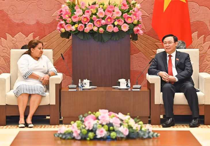 Chủ tịch Quốc hội Vương Đình Huệ phát biểu tại buổi tiếp Tổng Thư ký Hội Liên hiệp Phụ nữ Cuba Teresa Amarelle Boué.