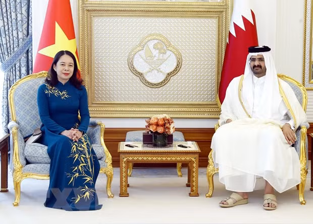 Pho Chu tich nuoc Vo Thi Anh Xuan hoi dam voi Pho Quoc vuong Qatar hinh anh 1