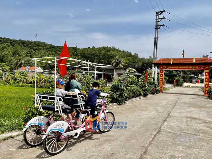 Du khách đạp xe tìm hiểu cuộc sống người dân trên đảo.