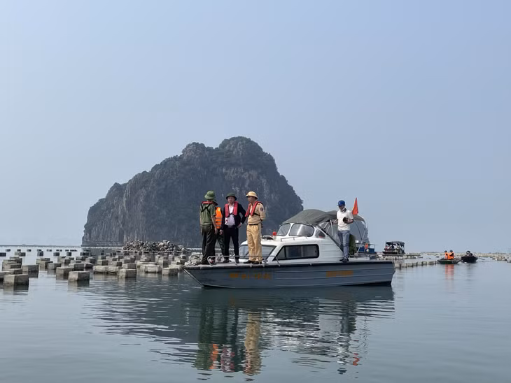 Lãnh đạo TP Cẩm Phả trực tiếp chỉ đạo tháo dỡ phao xốp nuôi trồng thủy sản trái phép.