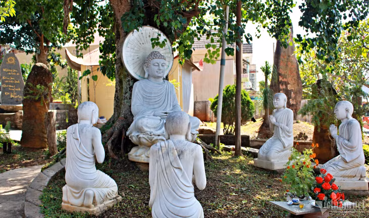 Chùa có nhiều cây cổ thụ khiến cảnh quan thêm phần cổ kính, trầm mặc.