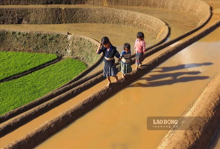 Ngoài ngắm phong cảnh, du khách có thể trải nghiệm nhịp sống người dân tộc tại Bát Xát. Huyện vùng cao này là nơi sinh sống của các dân tộc như H’Mông, Dao, Giáy hay Hà Nhì.