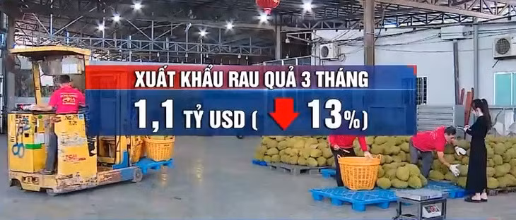 Xuất khẩu rau quả cả nước giảm 3 tháng liên tiếp - Ảnh 1.