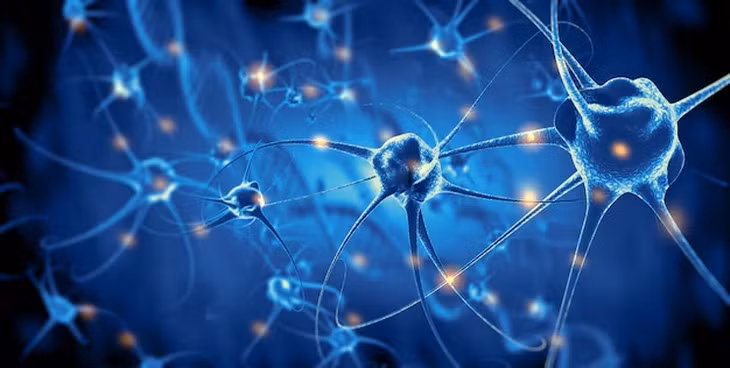 Nguyên nhân dẫn đến Parkinson ở nam giới là do một loại protein trong não - Ảnh: FREEPIK