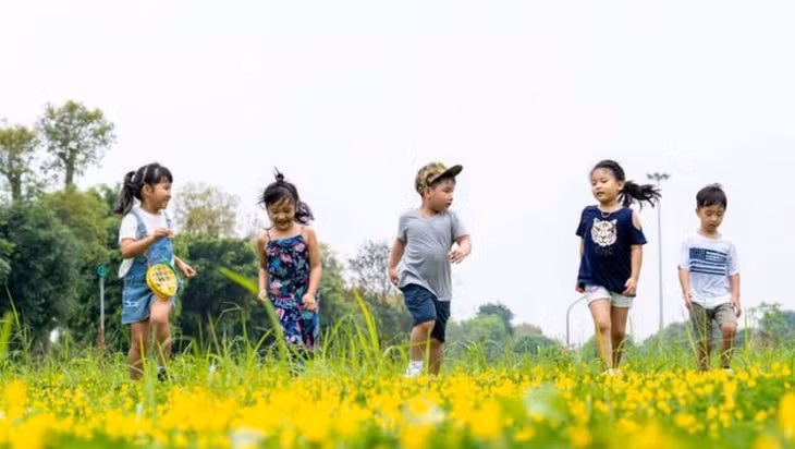 Việc bỏ quy định kỷ luật đảng viên sinh con thứ ba nhằm thích ứng linh hoạt trước những biến động về cơ cấu dân số và yêu cầu phát triển bền vững trong tình hình mới - Ảnh minh họa