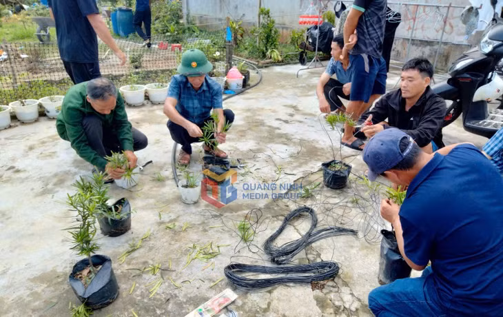 Học viên lớp Kỹ thuật tạo dáng và chăm sóc cây cảnh ở huyện Cô Tô thực hành tạo dáng cây cảnh. Ảnh: Chi cục phát triển nông thôn cung cấp
